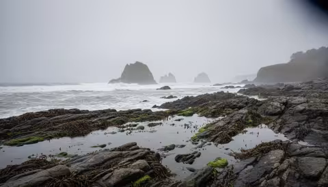 Pacific Northwest rocky coastline with tide pools and sea stacks in coastal mist