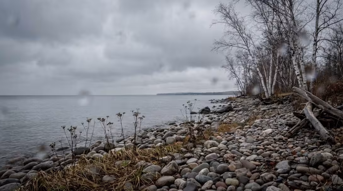 Great Lakes shoreline with rocky beach, bare birch trees, and cold gray water, early November