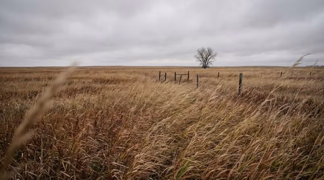 Tallgrass prairie stretching to flat horizon with dried grasses and scattered fence posts, early November